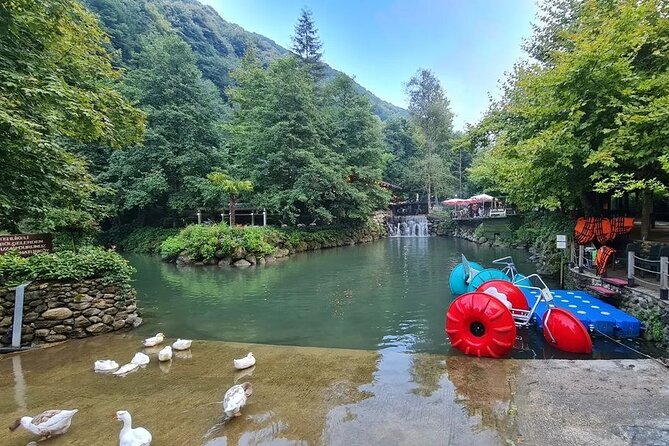 Full Day Tour in Sapanca & Masukiye from Istanbul - Darıca Zoo or the winter sea option, picked by season