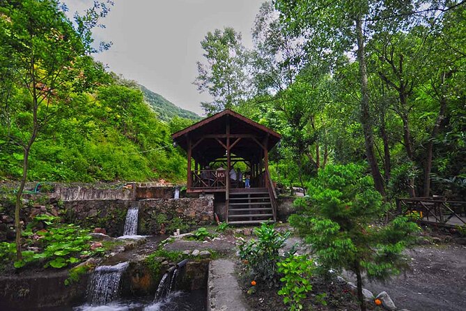 Full Day Tour Sapanca and Masukiye from Istanbul - The real appeal: a nature day trip that actually fits