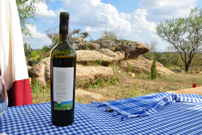 Full-Day Wine Tour from Istanbul - A full-day Thrace wine loop, with real variety in the pours