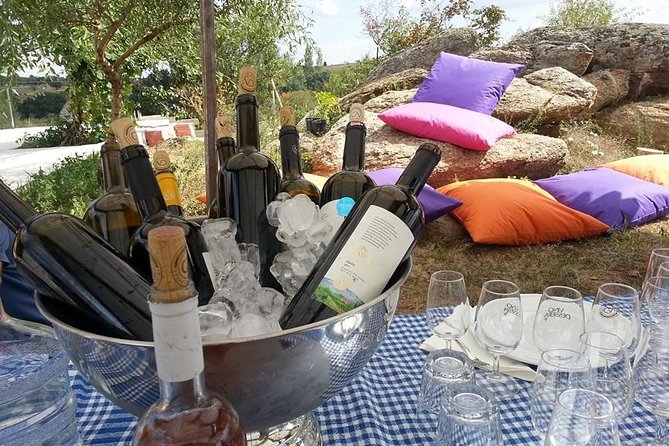 Full-Day Wine Tour from Istanbul - Getting from Istanbul: what the coach ride means for your comfort