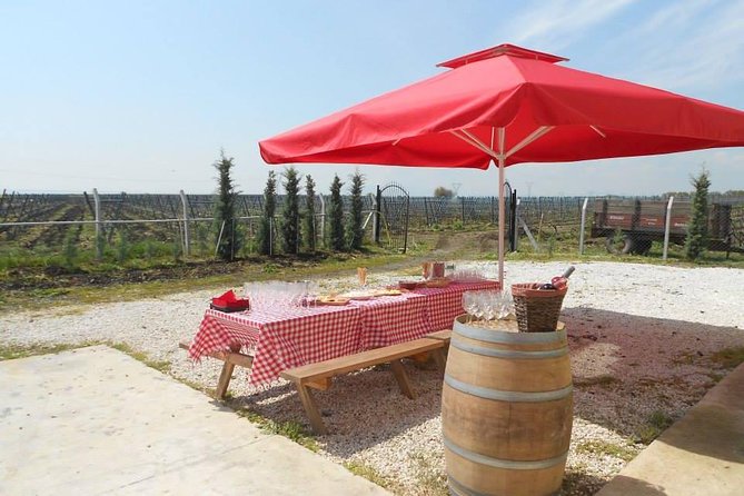 Full-Day Wine Tour from Istanbul - Stop 1: Poyrali village walk and Chamlija Winery mountain views