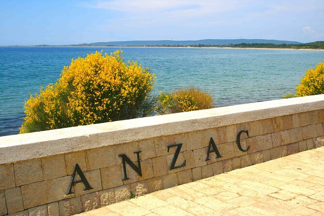 Gallipoli Full-Day Tour from Istanbul - The guide experience: where the tour becomes more than sightseeing
