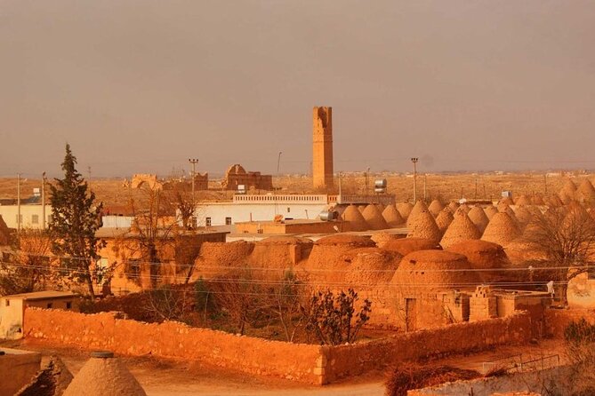 Göbekli Tepe & Şanlıurfa City Tour 2 Days 1 Night From Istanbul - Göbekli Tepe: how to make the most of a one-hour visit