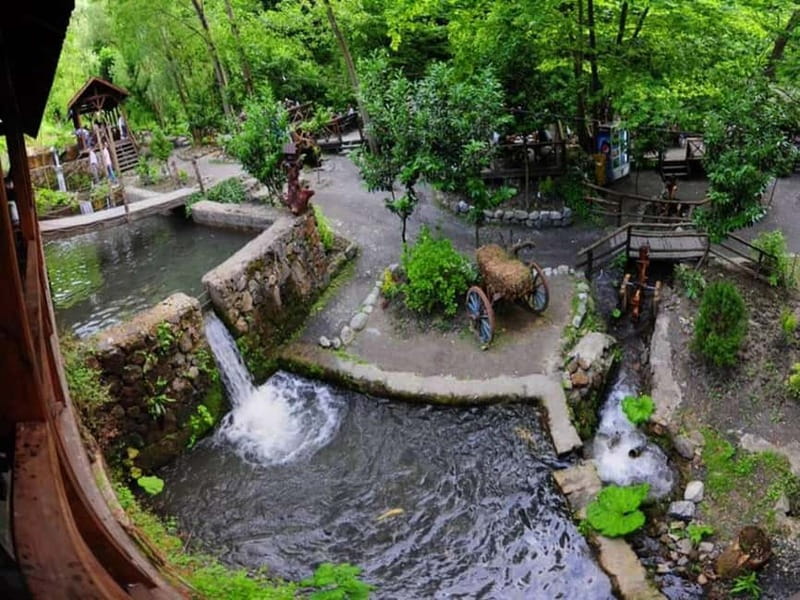 Guided Day Trip to Sapanca and Masukiye From Istanbul - Key Things You Should Know Before You Go