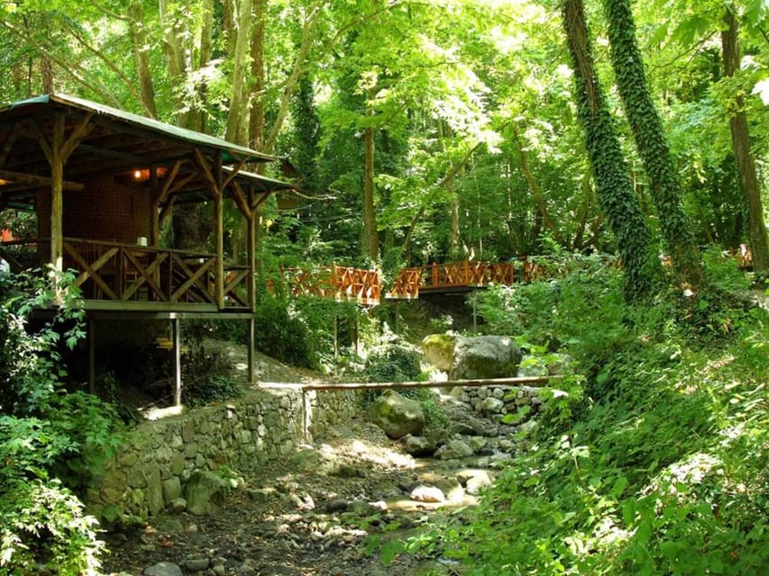 Guided Day Trip to Sapanca and Masukiye From Istanbul - Masukiye Village: Wooden Charm, Real Lunch, and a Slower Tempo