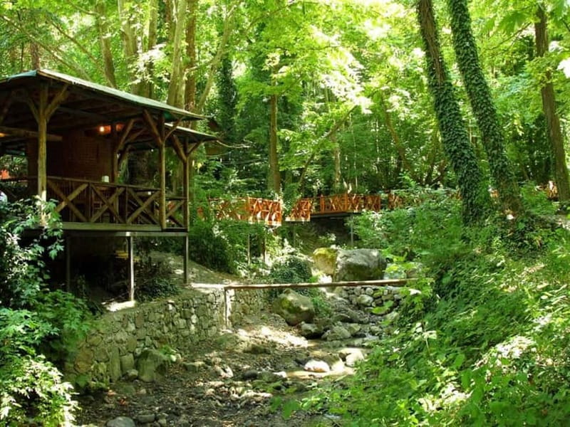 Guided Day Trip to Sapanca and Masukiye From Istanbul - Masukiye Waterfall: The Nature Reset for Photo Time and Fresh Air