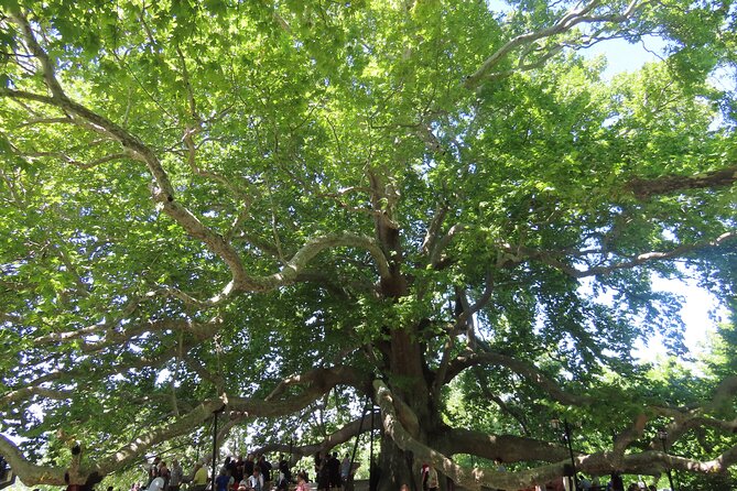 Guided Green Bursa Tour with Cable Car From Istanbul to Uludag - Getting from Istanbul to Bursa, and back, without losing the day