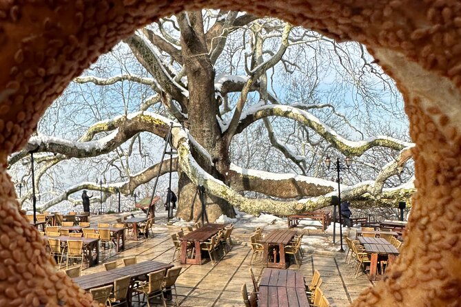 Guided Green Bursa Tour with Cable Car From Istanbul to Uludag - Uludag Sarialan: lunch on the mountain road