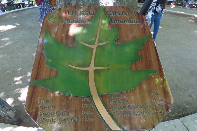 Guided Green Bursa Tour with Cable Car From Istanbul to Uludag - Hacivat and Karagöz Lokumcusu, where Bursa turns sweet