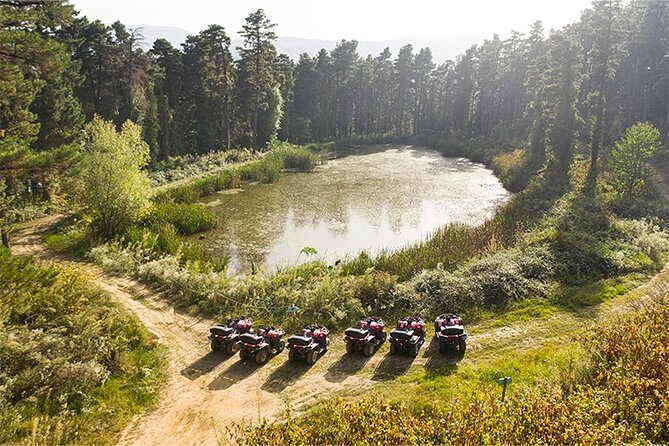 Guided Sapanca and Masukiye Full Day Tour from Istanbul - Darica Zoo stop: optional, seasonal, and ticket extra