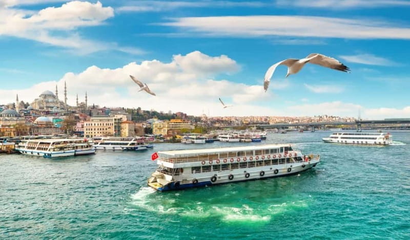 Hagia Sophia, Bosphorus cruise Blue Mosque, Small Group tour - Sultanahmet kickoff at the Blue Mosque: tiles, minarets, and what to notice