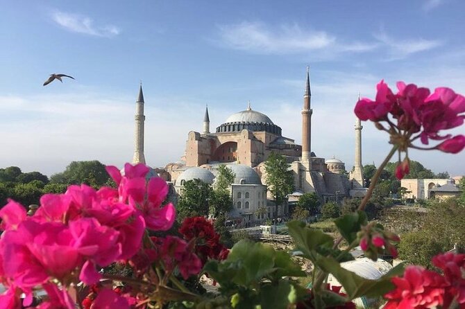 Hagia Sophia Group Tour ( Licensed Guide) - Meeting in Sultanahmet and getting inside with less friction