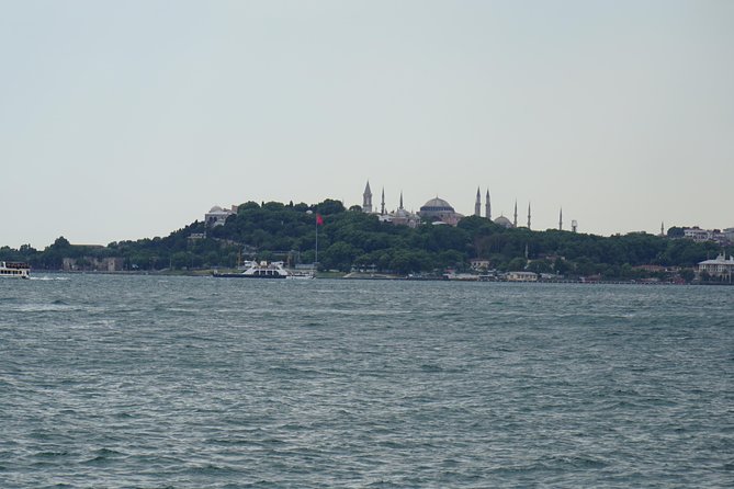 Half Day Morning Bosphorus Cruise & Spice Bazaar visit (Bus and Boat Tour) - What the half-day timing gets you on the Bosphorus