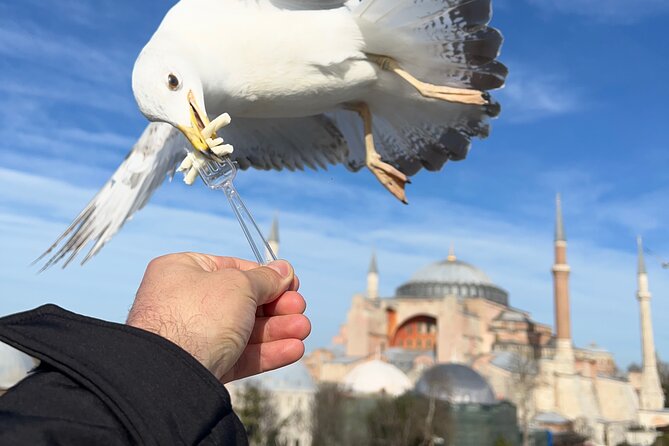 Imperial Traces of Istanbul – Private Guided Signature Tour - Topkapi Palace for 2 hours, the palace maze without the panic