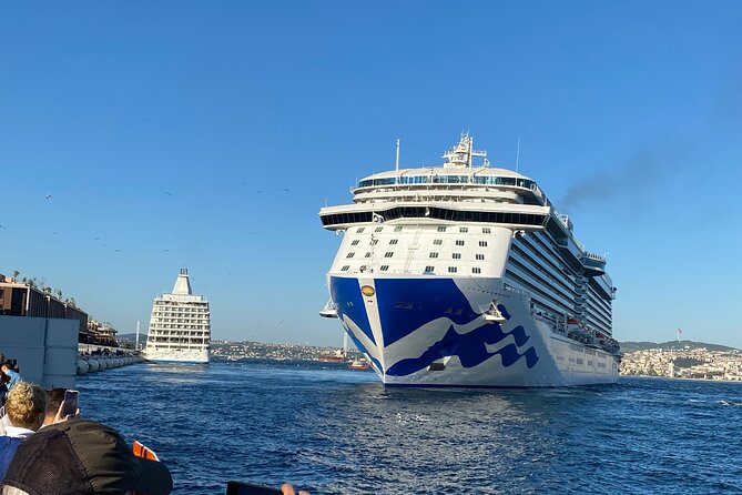 Istanbul Airport or Cruise Ship Private Layover Tour - The Layover-Friendly Pitch: Private Tour, Real Flexibility