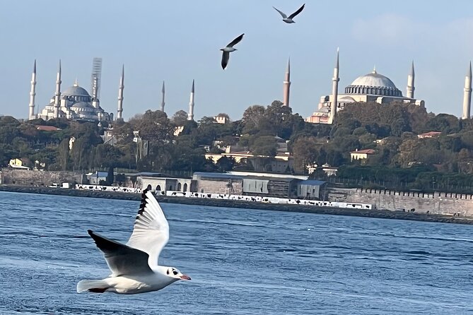 Istanbul Airport or Cruise Ship Private Layover Tour - Istiklal Caddesi: Beyoglu Street Time After the Old City