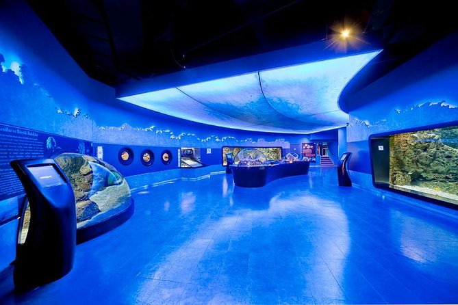Istanbul Aquarium and Aqua Florya Independent Shopping Trip - How This Trip Works: Small Group Transfer to Aquarium, Then Mall Time
