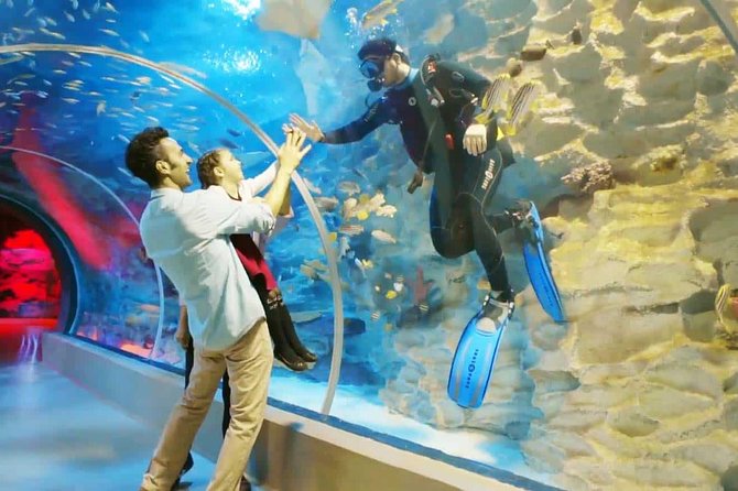 Istanbul Aquarium and Aqua Florya Independent Shopping Trip - The 5D Movie House: Worth It If You Like Special Effects