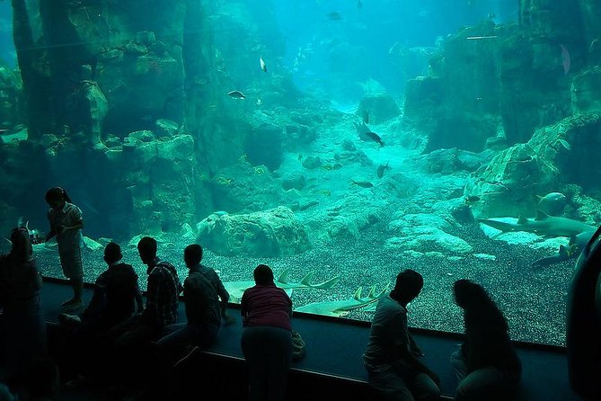 Istanbul Aquarium and Aqua Florya Independent Shopping Trip - My Take: Should You Book the Istanbul Aquarium and Aqua Florya Trip?