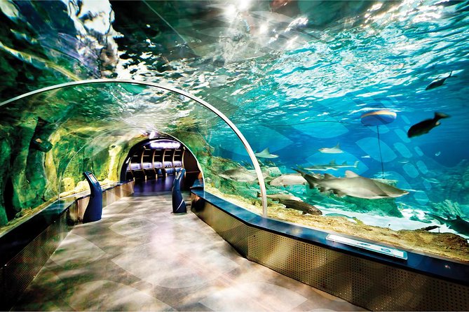 Istanbul Aquarium and Aqua Florya Independent Shopping Trip - FAQ