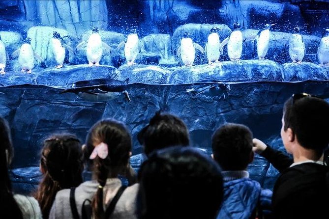Istanbul Aquarium and Aqua Florya Independent Shopping Trip - Aqua Florya Mall Break: 4 Stories, 140+ Shops, and Seaside Vibes