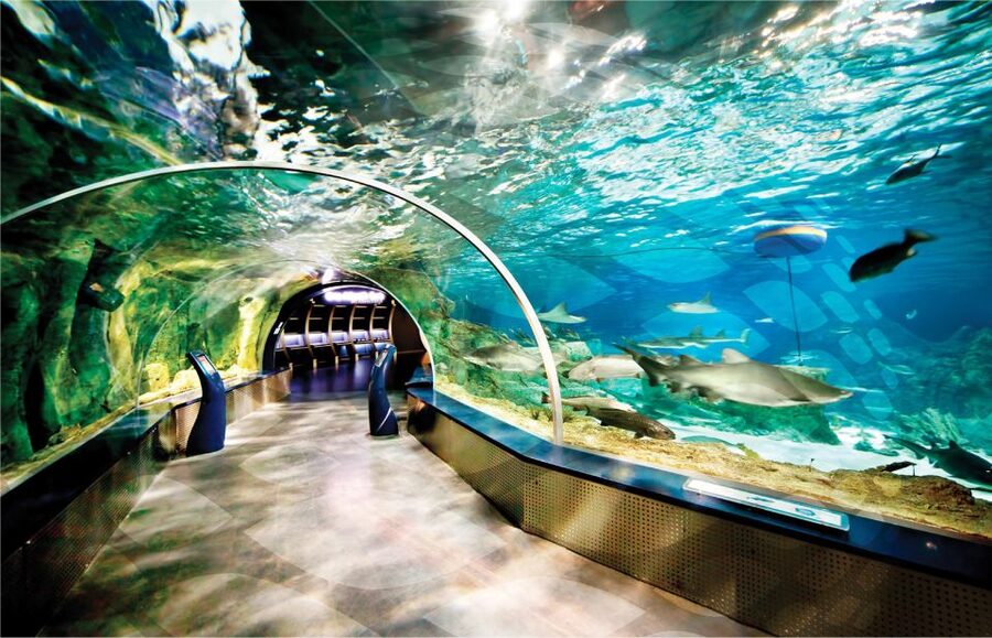 Istanbul Aquarium and Aqua Florya Shopping Mall Tour - A World Tour Under One Roof in 5 Hours
