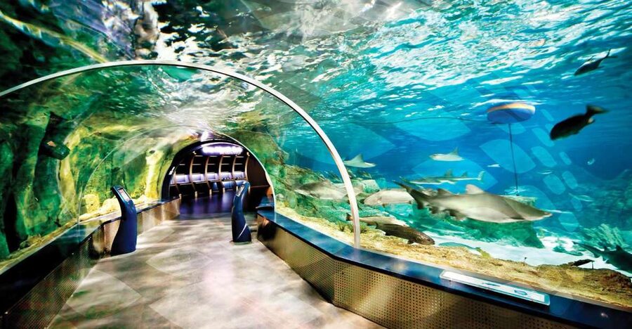 Istanbul Aquarium and Aqua Florya Shopping Mall Tour - 16 Themed Zones: From Black Sea to Pacific Ocean