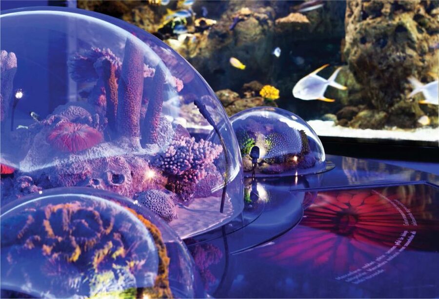 Istanbul Aquarium and Aqua Florya Shopping Mall Tour - The Animal Highlights: Sharks, Stingrays, Octopus, and More