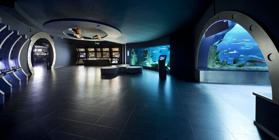 Istanbul Aquarium and Aqua Florya Shopping Mall Tour - Mirror Labyrinth and Rainforest Quest: Add-on Adventures