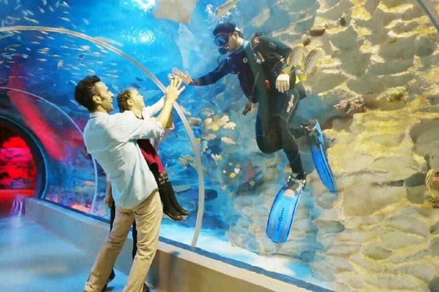 Istanbul Aquarium and Aqua Florya Shopping Mall Tour - Shopping Break at Aqua Florya Mall