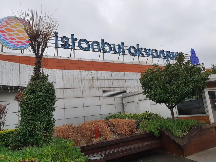 Istanbul: Aquarium Ticket and Round Trip Shuttle from Taksim - Should you book this Istanbul Aquarium ticket with Taksim shuttle?