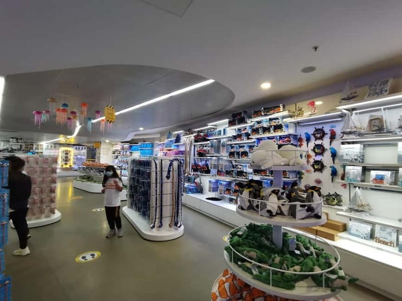 Istanbul: Aquarium Ticket and Round Trip Shuttle from Taksim - Pacing your visit with the shuttle return around 16:00