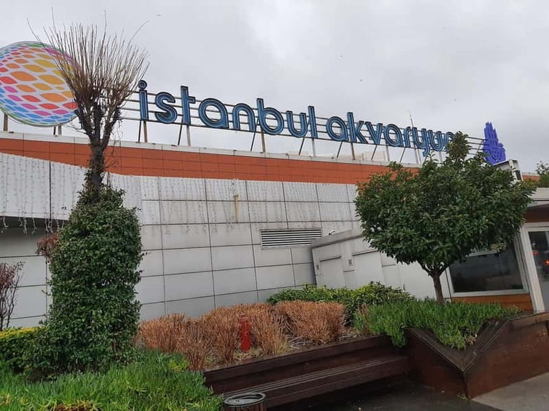 Istanbul: Aquarium Ticket and Round Trip Shuttle from Taksim - Value check: is $33 worth it?