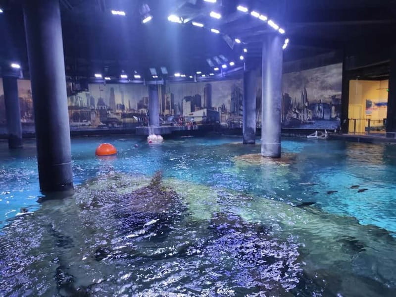 Istanbul: Aquarium Ticket and Round Trip Shuttle from Taksim - Who should book this aquarium shuttle ticket