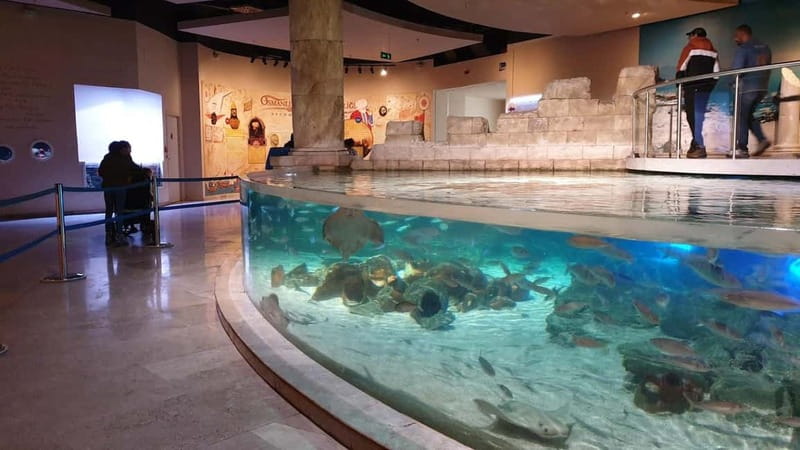 Istanbul: Aquarium Ticket and Round Trip Shuttle from Taksim - A quick practical checklist for your day