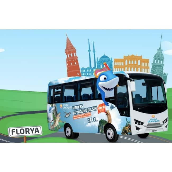 Istanbul: Aquarium Ticket with Shuttle Bus from Sultanahmet - Key things to know before you go