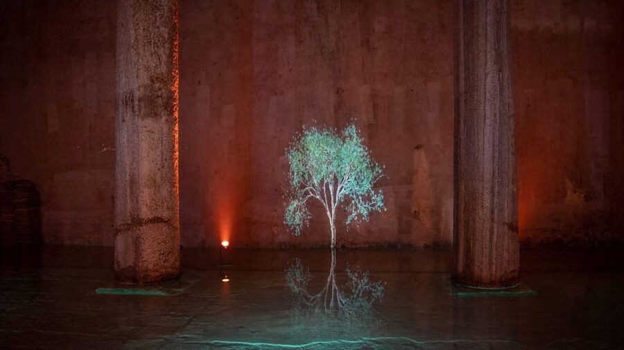 Istanbul: Basilica Cistern Skip-the-Ticket-Line Guided Tour - Should You Book This Basilica Cistern Tour?