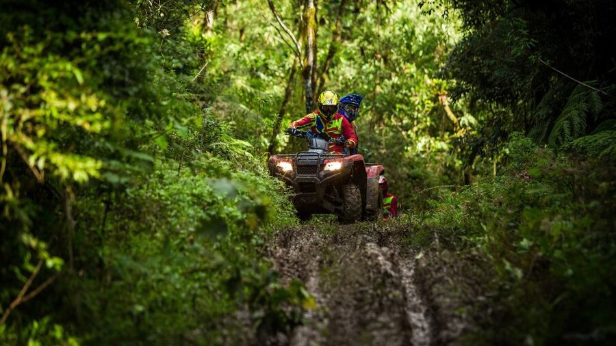 Istanbul: Belgrad Forest ATV Tour with Ziplining Option - Key points before you go