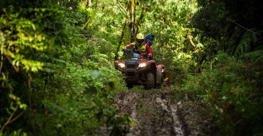 Istanbul: Belgrad Forest ATV Tour with Ziplining Option - Belgrad Forest, close enough to Istanbul to feel surreal