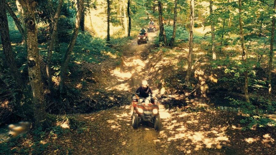 Istanbul: Belgrad Forest ATV Tour with Ziplining Option - Getting picked up in Sultanahmet or Taksim, then the 30-minute transfer