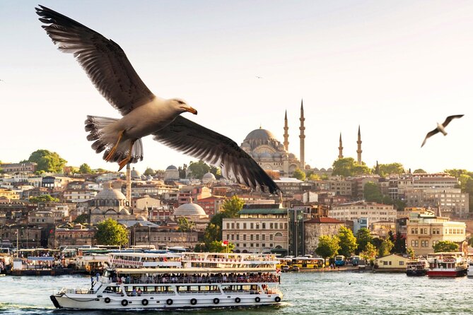 Istanbul Bosphorus Boat Tour and Golden Horn Cruise Day or Sunset - Entering The Route: Meeting Point and Pickup That You Should Verify