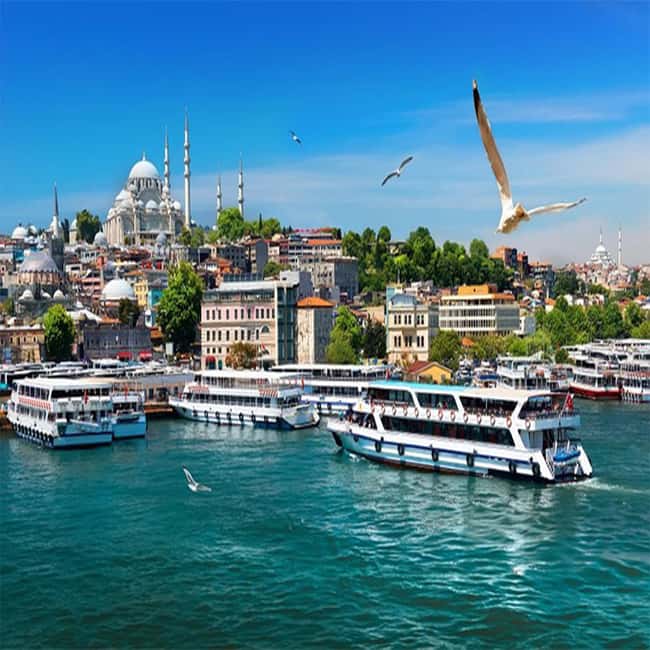 Istanbul: Bosphorus Cruise Morning or Sunset Boat Tour - Who This Cruise Fits Best