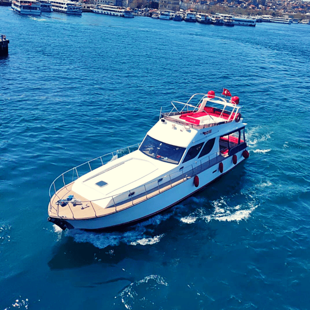 İstanbul: Bosphorus Private Yacht Cruise with Tea and Coffee - Price and value: $272 per group for up to 6