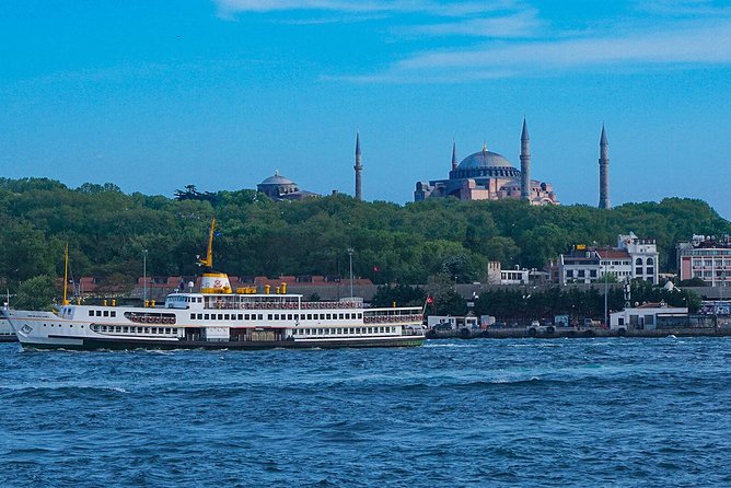 Istanbul Bosphorus Sightseeing Cruise - Complimentary water or juice, plus onboard snacks you might buy