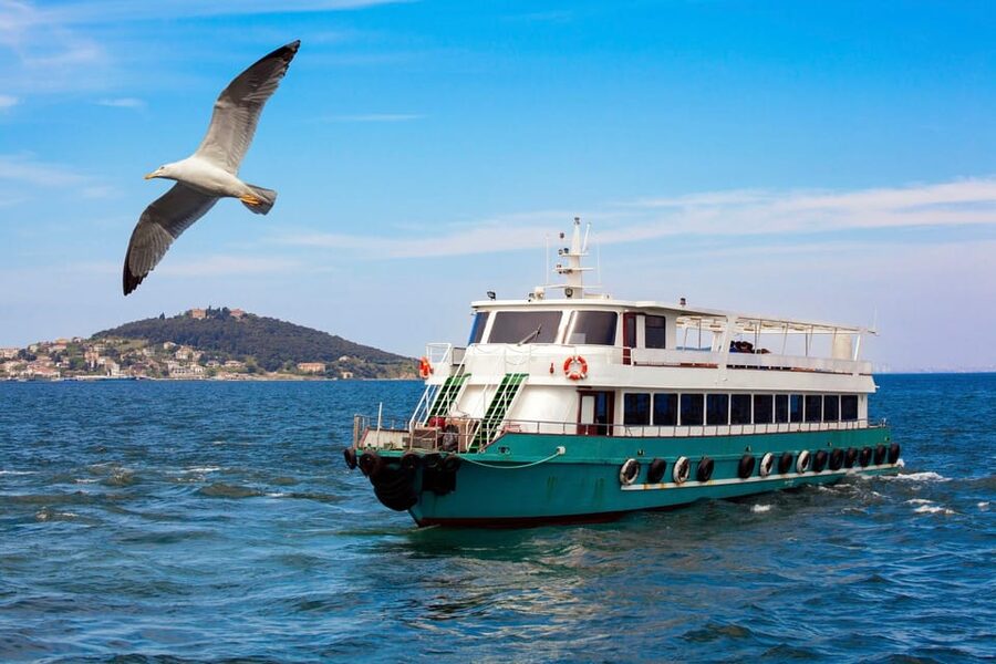 Istanbul: Bosphorus Strait Sightseeing Cruise & Audio Guide - Anadolu Hisarı: Where the Straits’ Stories Get Older