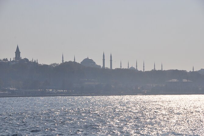 Istanbul Bosphorus Tour With Whirling Dervish Show - Whirling Dervish show: what to expect on this short outing