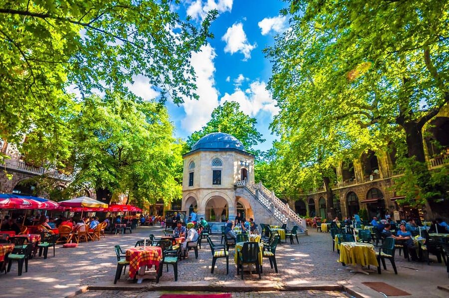 Istanbul: Bursa Tour w/ Cable Car Ride & Uludag Mountain - Uludağ National Park: The 600-Year-Old Tree Photo Stop