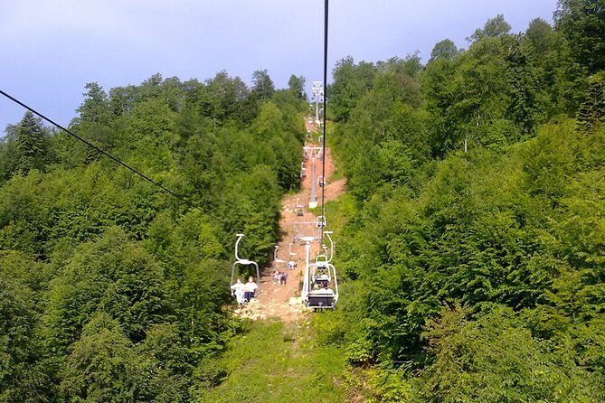 Istanbul: Bursa & Uludag Tour with Lunch & Cable Car Option - Bursa’s historic plane tree and photo break