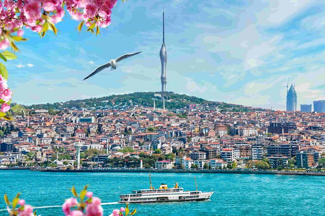 Istanbul Camlica Tower: Private Entry, Transfer & Dine Choices - Driver Service and the Human Factor
