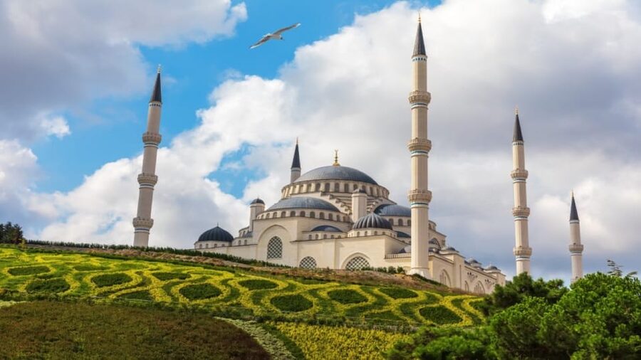 Istanbul: City Hightlights Bus Tour and Bosphorus Cruise - Bosphorus cruise details: tea, WiFi, and the best kind of sitting time